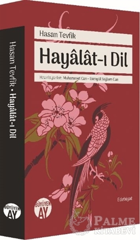 resm Hayalat-ı Dil
