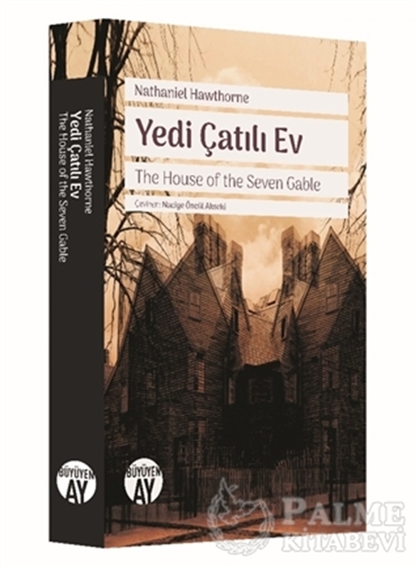 resm Yedi Çatılı Ev