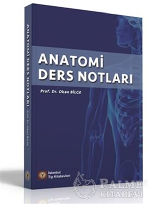 resm Anatomi Ders Notları
