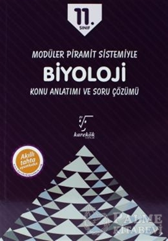 resm 11. Sınıf Modüler Piramit Sistemiyle Biyoloji Konu Anlatımı