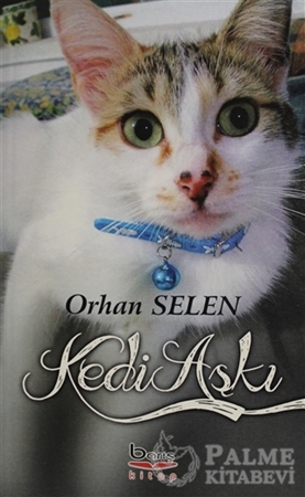 Resim Kedi Aşkı
