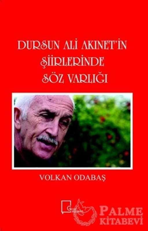 resm Dursun Ali Akınet'in Şiirlerinde Söz Varlığı