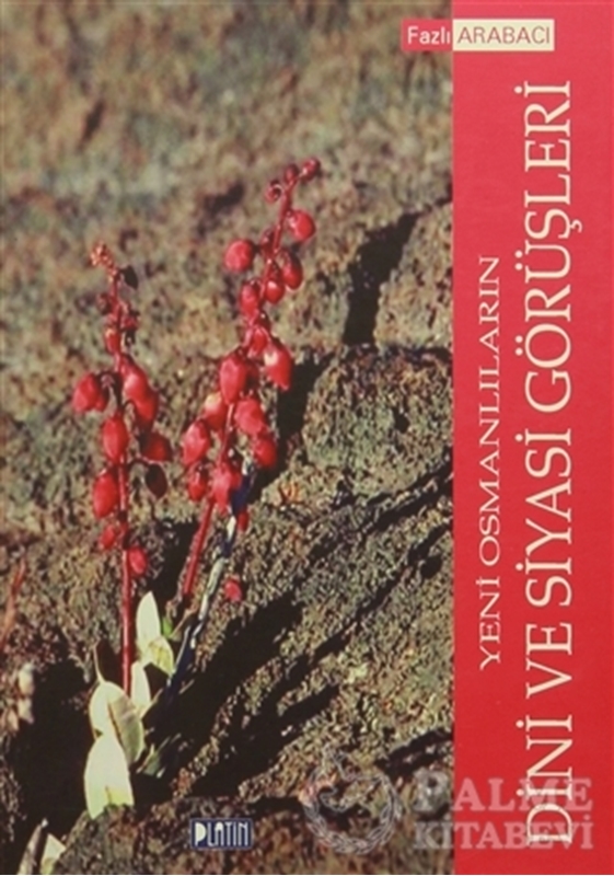 resm Yeni Osmanlıların Dini ve Siyasi Görüşleri