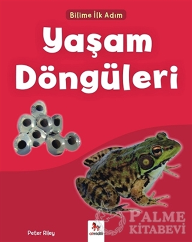 resm Yaşam Döngüleri - Bilime İlk Adım