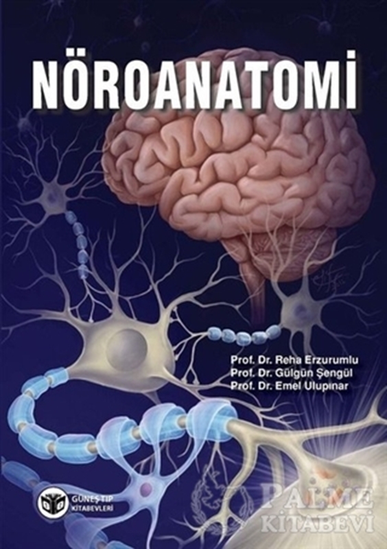 resm Nöroanatomi