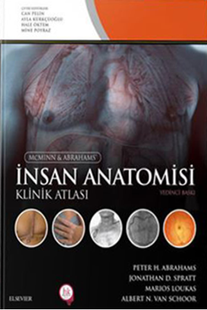 Resim İnsan Anatomisi Klinik