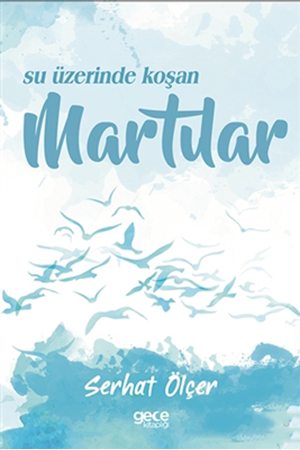 Resim Su Üzerinde Koşan Martılar