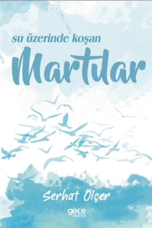 resm Su Üzerinde Koşan Martılar