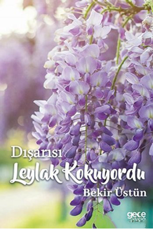 Resim Dışarısı Leylak Kokuyordu