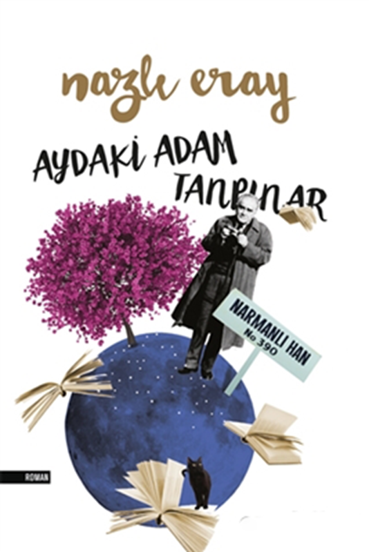 resm Aynadaki Adam Tanpınar