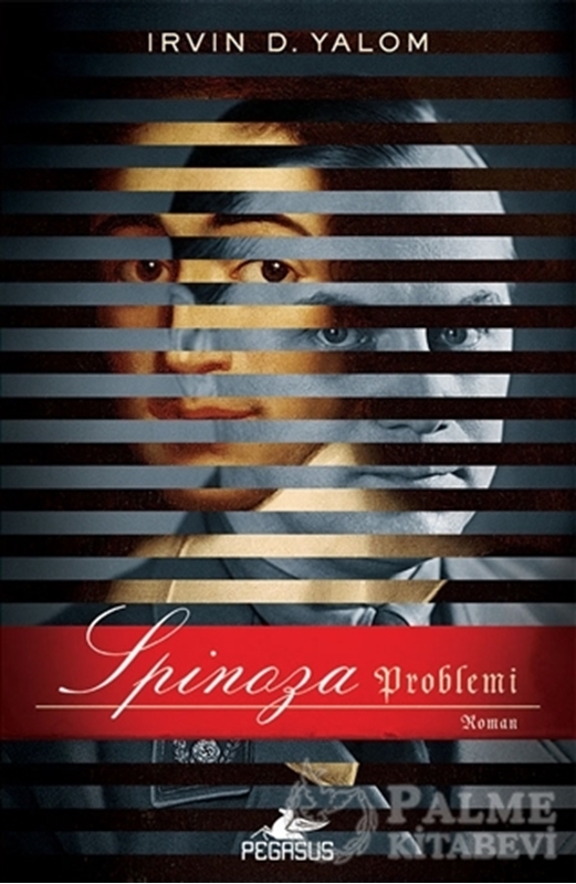 resm Spinoza Problemi