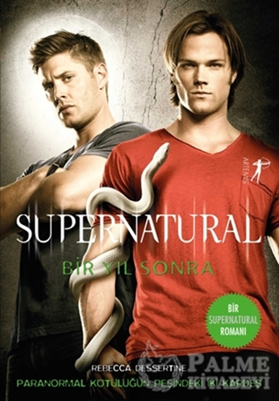 resm Supernatual - Bir Yıl Sonra