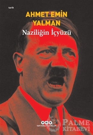 Resim Naziliğin İçyüzü