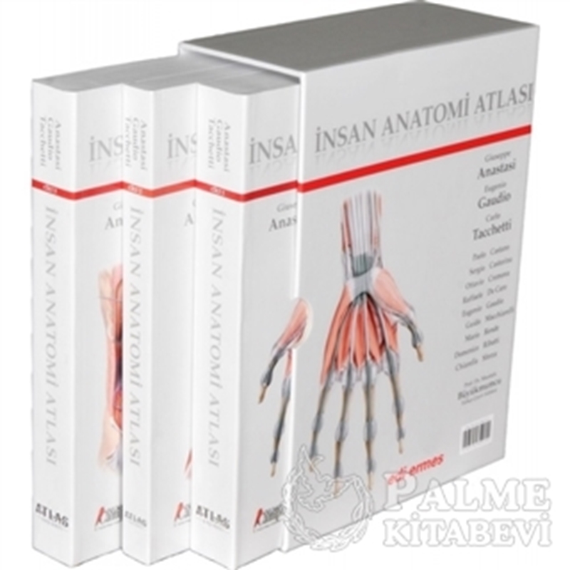 resm İnsan Anatomisi Atlası (3 Cilt Takım)
