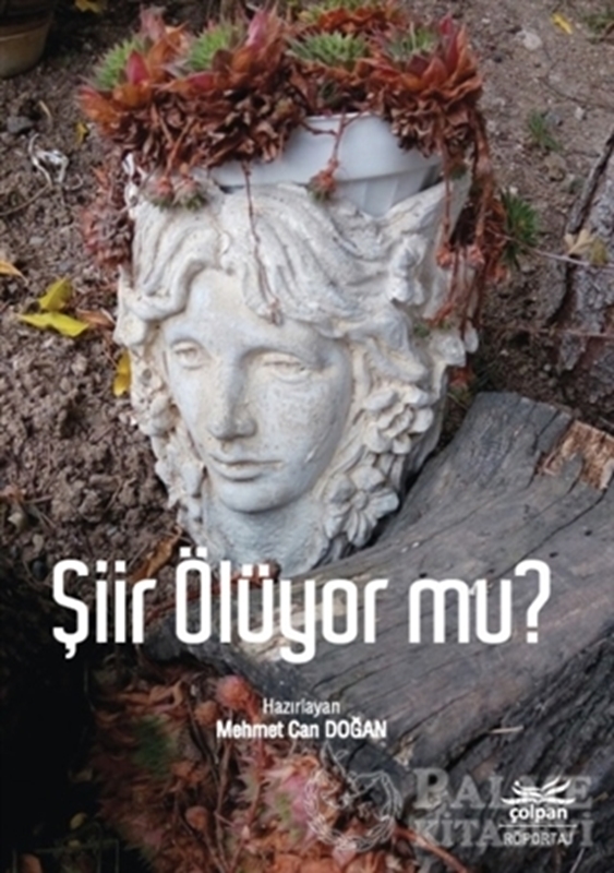 resm Şiir Ölüyor mu?