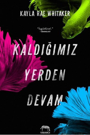 Resim Kaldığımız Yerden Devam