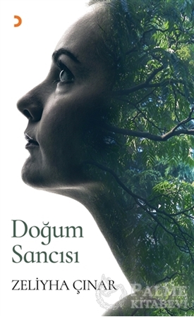 Resim Doğum Sancısı