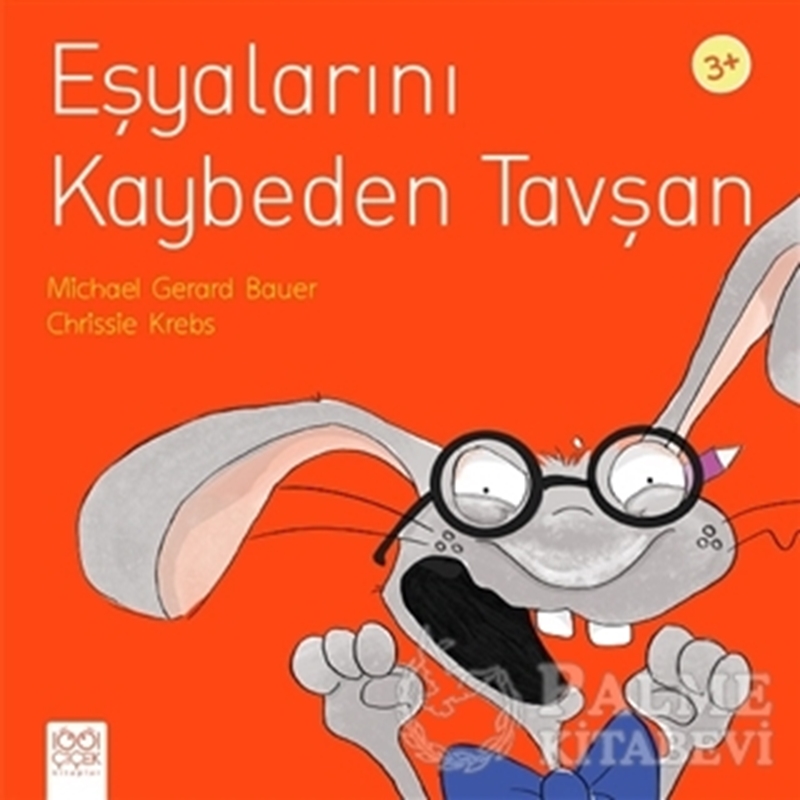 resm Eşyalarını Kaybeden Tavşan