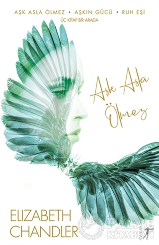 resm Aşk Asla Ölmez - Aşkın Gücü - Ruh Eşi (3 Kitap)