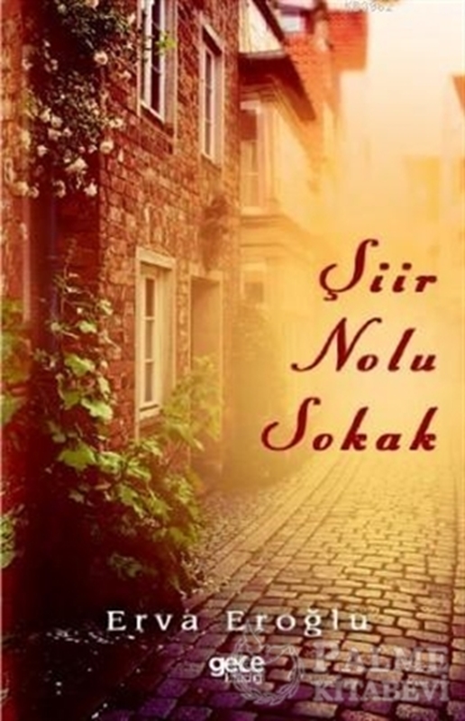 resm Şiir Nolu Sokak
