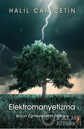 Resim Elektromanyetizma