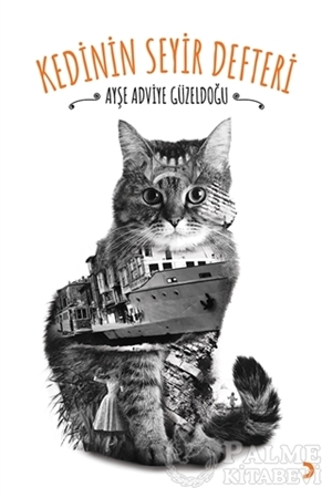 Resim Kedinin Seyir Defteri