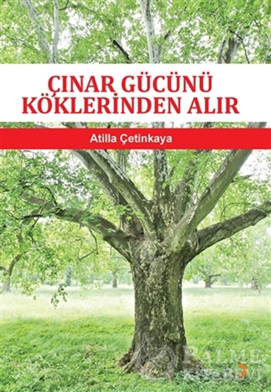 resm Çınar Gücünü Köklerinden Alır