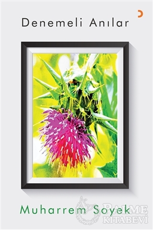 resm Denemeli Anılar