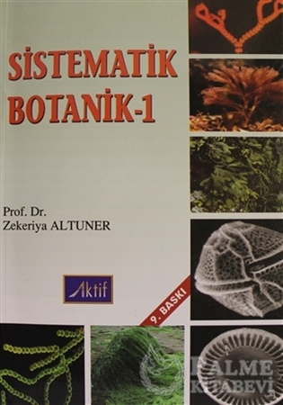 Resim Sistematik Boyanik - 1