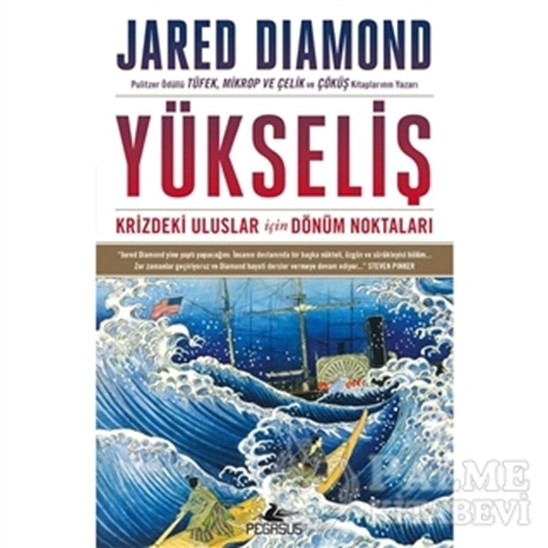 resm Yükseliş: Krizdeki Uluslar İçin Dönüm Noktaları