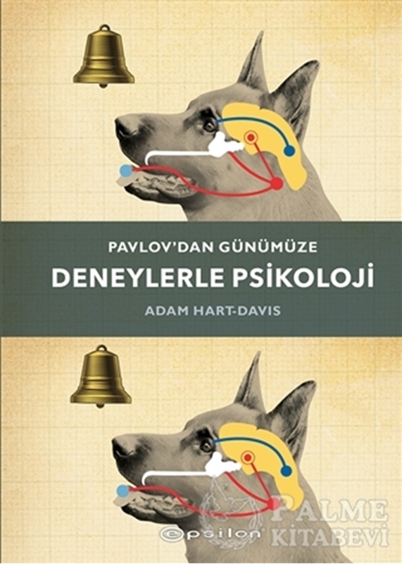 resm Pavlov’dan Günümüze Deneylerle Psikoloji