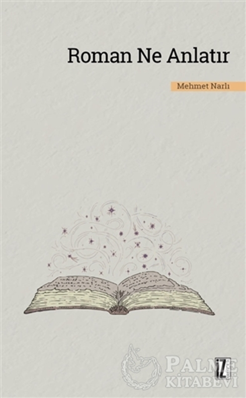 resm Roman Ne Anlatır