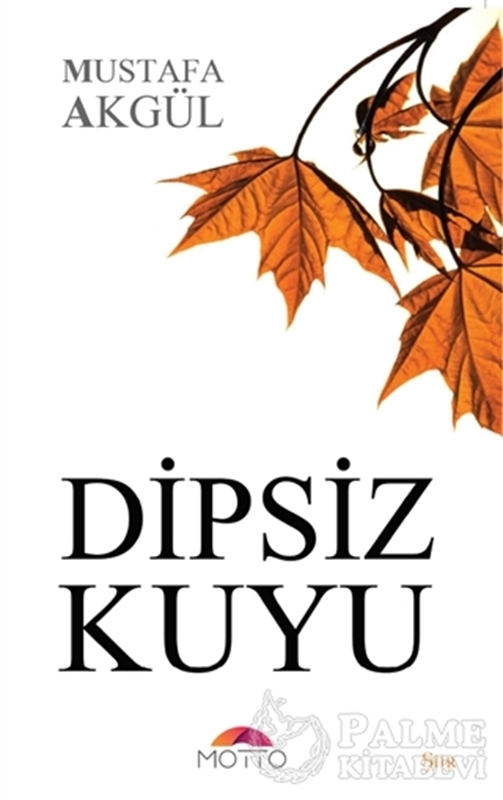 resm Dipsiz Kuyu
