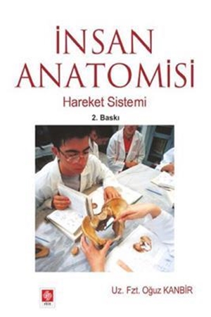 Resim İnsan Anatomisi