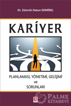 Resim Kariyer Planlaması, Yönetimi, Gelişimi ve Sorunları