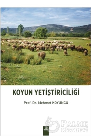 Resim Koyun Yetiştiriciliği