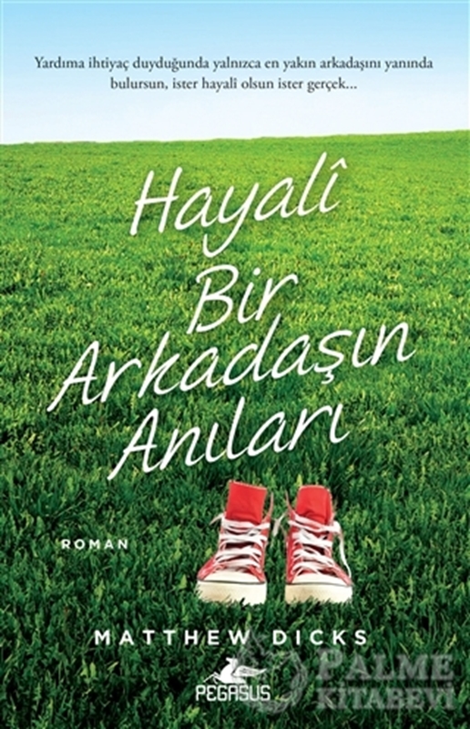 resm Hayali Bir Arkadaşın Anıları