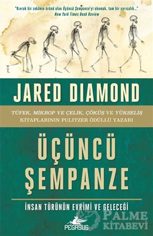 resm Üçüncü Şempanze: İnsan Türünün Evrimi ve Geleceği