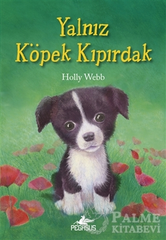 resm Yalnız Köpek Kıpırdak