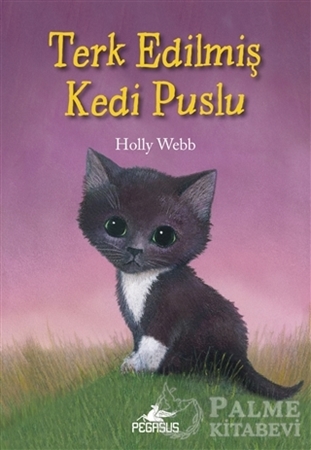 Resim Terk Edilmiş Kedi Puslu