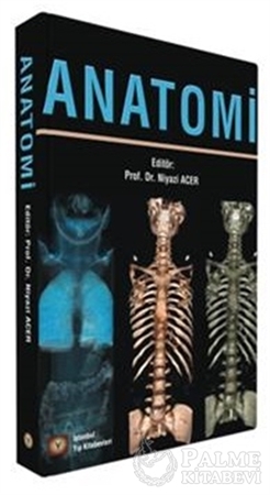 Resim Anatomi