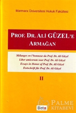 Resim Prof. Dr. Ali Güzel’e Armağan 2