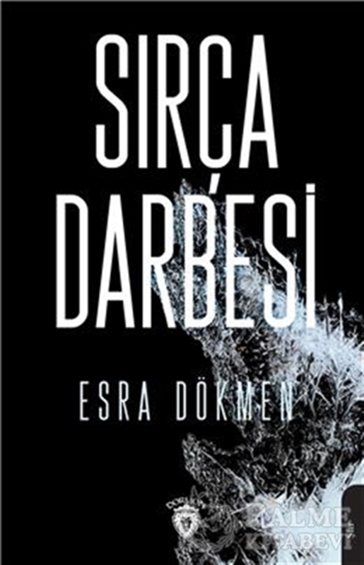resm Sırça Darbesi
