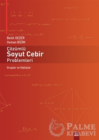 Resim Çözümlü Soyut Cebir Problemleri