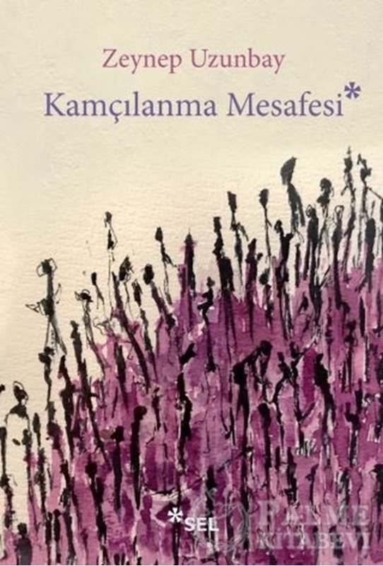 resm Kamçılanma Mesafesi