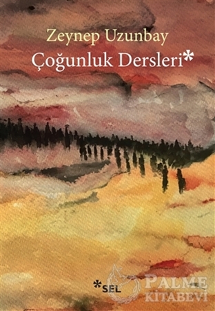 Resim Çoğunluk Dersleri