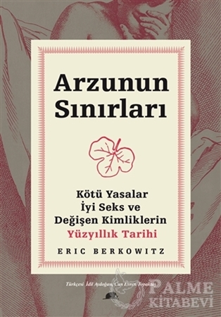 Resim Arzunun Sınırları