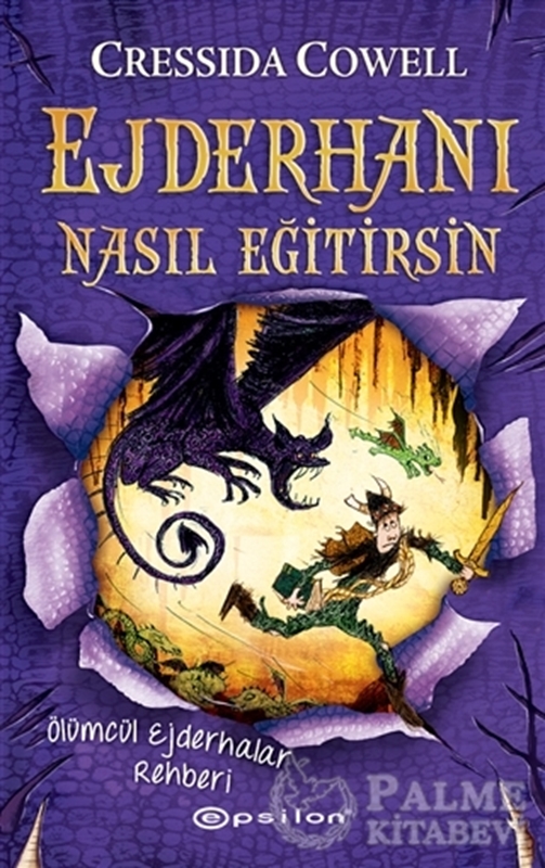 resm Ejderhanı Nasıl Eğitirsin 6