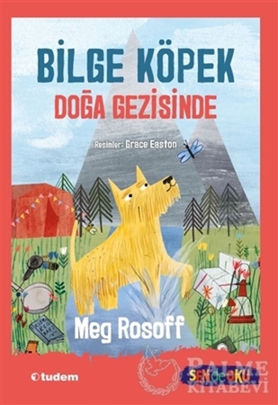 Resim Bilge Köpek Doğa Gezisinde