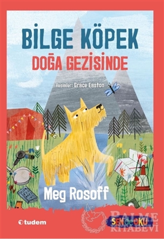 resm Bilge Köpek Doğa Gezisinde